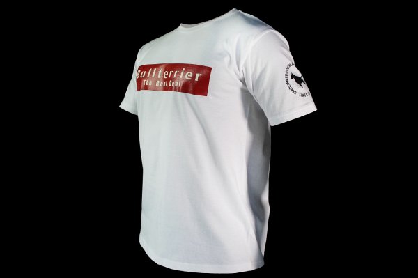 Photo5: BULL TERRIER T-Shirt BASIC LOGO White (5)