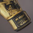 Photo4: VENUM x ASSASSIN`S CREED Boxing Glove SHADOWS Black/Gold (4)