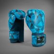 Photo1: VENUM x DEMI Boxing Glove Azure Blue (1)
