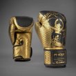 Photo1: VENUM x ASSASSIN`S CREED Boxing Glove SHADOWS Black/Gold (1)