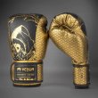 Photo2: VENUM x ASSASSIN`S CREED Boxing Glove SHADOWS Black/Gold (2)