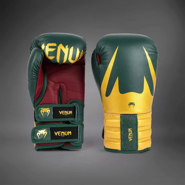 Photo1: VENUM Boxing Glove REVERSO Emerald Green/Gold (1)