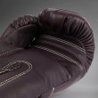 Photo7: VENUM Boxing Glove IMPACT EVO Chocolate (7)