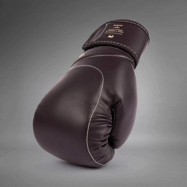 Photo5: VENUM Boxing Glove IMPACT EVO Chocolate (5)