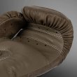 Photo6: VENUM Boxing Glove IMPACT EVO SCALES Brown (6)