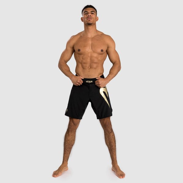 Photo1: VENUM Fight Shorts LIGHT 5.0 Black/Gold (1)