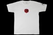 Photo1: BULL TERRIER T-Shirt Vintage Emblem White (1)