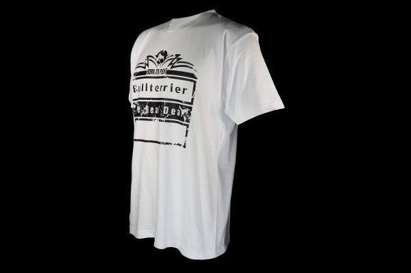 Photo5: BULL TERRIER T-Shirt BORN TO FIGHT White (5)