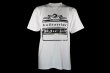 Photo4: BULL TERRIER T-Shirt BORN TO FIGHT White (4)