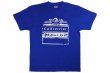 Photo1: BULL TERRIER T-Shirt BORN TO FIGHT Blue (1)