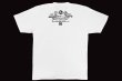 Photo2: BULL TERRIER T-Shirt BORN TO FIGHT White (2)