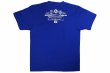 Photo2: BULL TERRIER T-Shirt BORN TO FIGHT Blue (2)