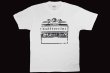 Photo1: BULL TERRIER T-Shirt BORN TO FIGHT White (1)