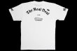 Photo2: BULL TERRIER T-Shirt THE White (2)