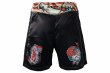 Photo3: BULL TERRIER Fight Shorts TORAH Black (3)
