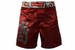 Photo1: BULL TERRIER Fight Shorts TORAH Bordeaux (1)