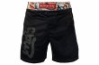 Photo1: BULL TERRIER Fight Shorts TORAH Black (1)