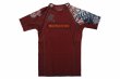 Photo4: BULL TERRIER Rash Guard TORAH Short Sleeve Bordeaux (4)
