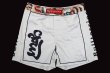 Photo4: BULL TERRIER Fight Shorts TORAH White (4)