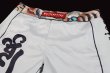 Photo6: BULL TERRIER Fight Shorts TORAH White (6)
