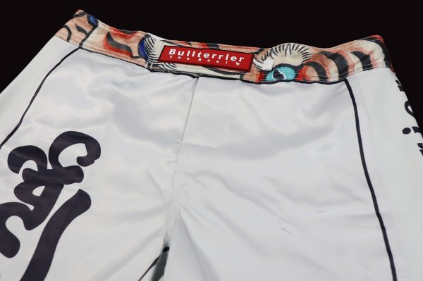 Photo6: BULL TERRIER Fight Shorts TORAH White (6)