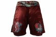 Photo3: BULL TERRIER Fight Shorts TORAH Bordeaux (3)