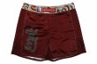 Photo4: BULL TERRIER Fight Shorts TORAH Bordeaux (4)