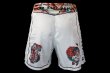 Photo3: BULL TERRIER Fight Shorts TORAH White (3)