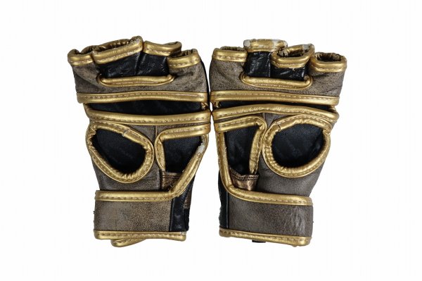 Photo2: Athlete X　MMA Gloves KAIWERO (Challenger)  SALE (2)