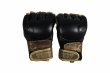 Photo1: Athlete X　MMA Gloves KAIWERO (Challenger)  SALE (1)