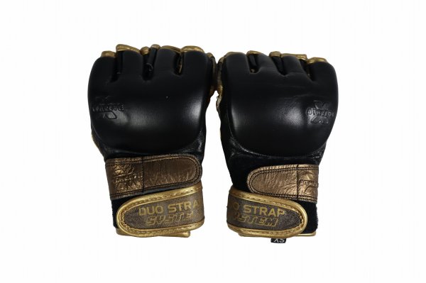 Photo1: Athlete X　MMA Gloves KAIWERO (Challenger)  SALE (1)