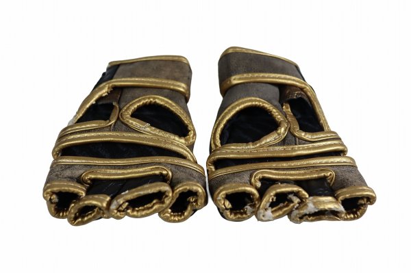 Photo3: Athlete X　MMA Gloves KAIWERO (Challenger)  SALE (3)