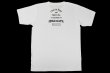 Photo2: BULL TERRIER x KLEBER KOIKE Live to Fight T-Shirt White (2)