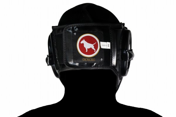 Photo8: BULL TERRIER Headgear BASIC Black (8)