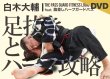 Photo1: DVD Daisuke Shiraki Footwork and Half Marathon Strategy (1)