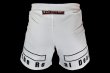 Photo3: BULL TERRIER Fight Shorts FIGHT&SPORTS White (3)