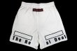 Photo5: BULL TERRIER Fight Shorts FIGHT&SPORTS White (5)