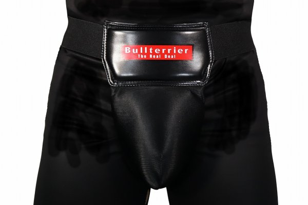 Photo3: BULL TERRIER Foul Cup Protector Basic DX Black (3)