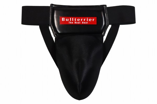 Photo1: BULL TERRIER Foul Cup Protector Basic DX Black (1)