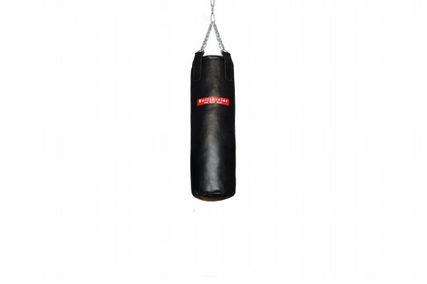 Photo2: BULL TERRIER Basic Sandbag (empty) (2)