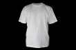 Photo5: BULL TERRIER T-Shirt THE White/Gold (5)