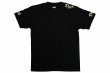 Photo1: BULL TERRIER T-Shirt THE Black/Gold (1)