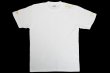 Photo1: BULL TERRIER T-Shirt THE White/Gold (1)
