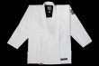 Photo1: BULL TERRIER Jiu-Jitsu Gi Standard RIV White (1)