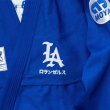 Photo7: MOYA BRAND Jiu-Jitsu Gi ACE BLUE Blue (7)