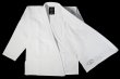 Photo2: BULLTERRIER Jiu-Jitsu Gi LIMITED R White (2)