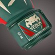 Photo3: VENUM Boxing Glove Elite Special Edition Green (3)