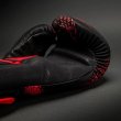 Photo3: VENUM Boxing Glove Matupa Black/Red/Silver (3)