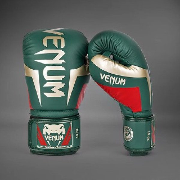 Photo2: VENUM Boxing Glove Elite Special Edition Green (2)