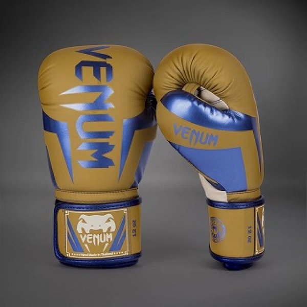 Photo2: VENUM Boxing Glove Elite Special Edition Camel (2)